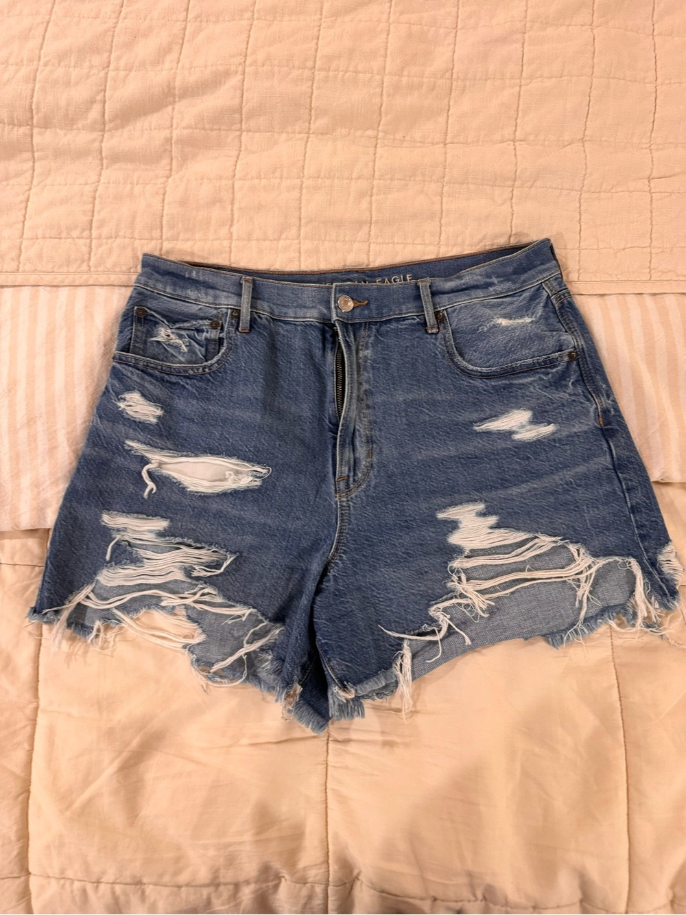 American Eagle Outfitters Distressed Blue Denim Shorts